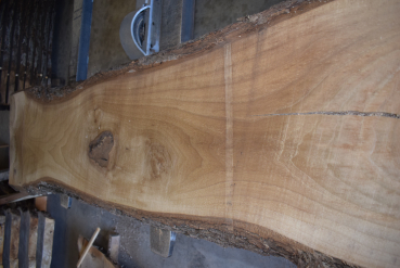 Nussbaum Bohle (NB-W-14-9)