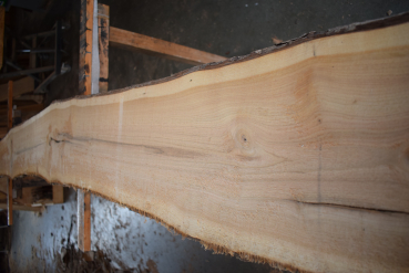 european Nuttree plank (NB-W-3-2)