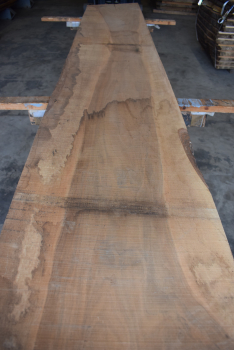 Nuttree plank (NB-W-E20)