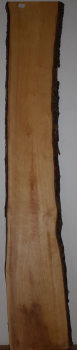olive wood (OLV_203)