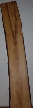 olive wood (OLV_204)
