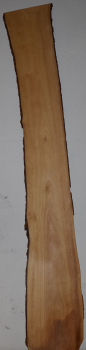 olive wood (OLV_213)