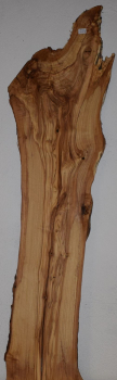 olive wood (OLV_217)
