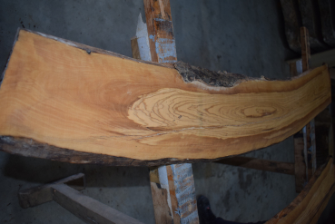 Olive Tree Plank  (OLV_712)