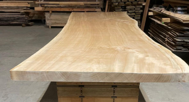 Solid wood slab of black poplar