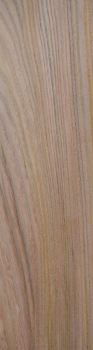 american Elm plank (A-UL-E45)