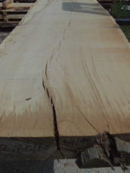 Oak tabel top (EE-36) not trimmed