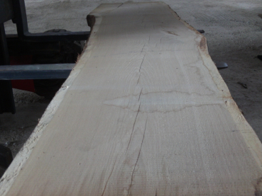 Oak tabel top (EE-41) not trimmed