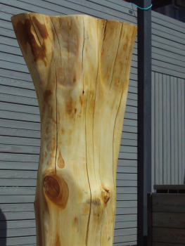 wood pillar No. 20