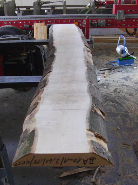 Marple Plank (BA10-1) not trimmed