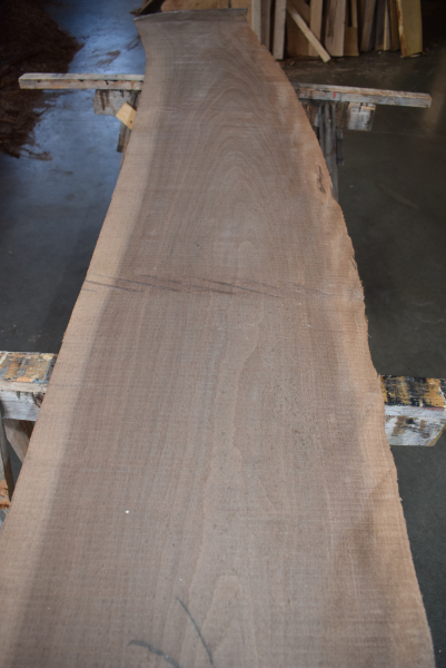 amerikanische Nussbaum Bohle sägerauh (NB-AM-1-1) Juglans nigra
