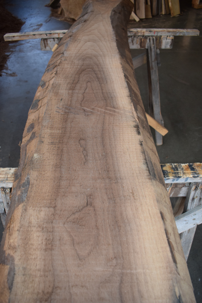 amerikanische Nussbaum Bohle sägerauh (NB-AM-1-1) Juglans nigra
