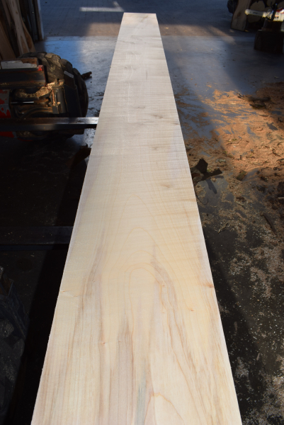 Bergahorn Bohle (BA18-9) besäumt