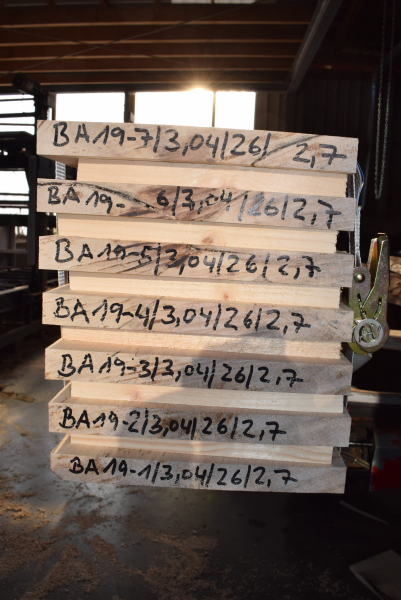 Bergahorn Bohle (BA19-6) besäumt