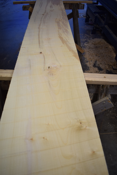 Bergahorn Bohle (BA22-4)