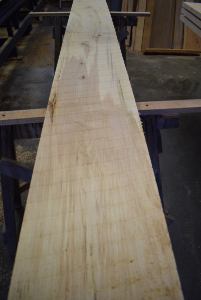 Bergahorn Bohle (BA22-9)