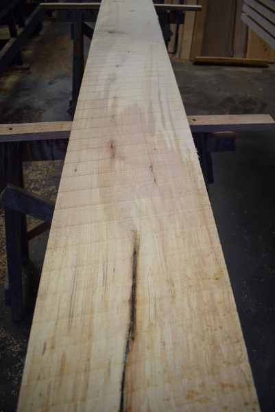 Bergahorn Bohle (BA22-9)
