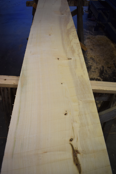 Bergahorn Bohle (BA22-9)
