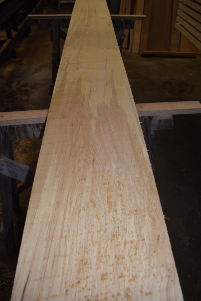 Bergahorn Bohle (BA22-4)