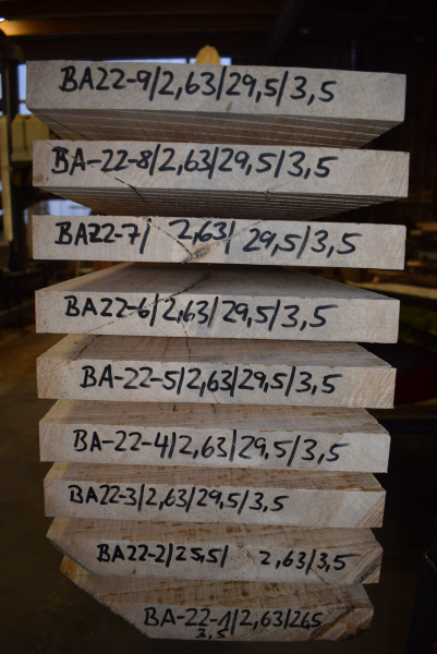 Bergahorn Bohle (BA22-9)