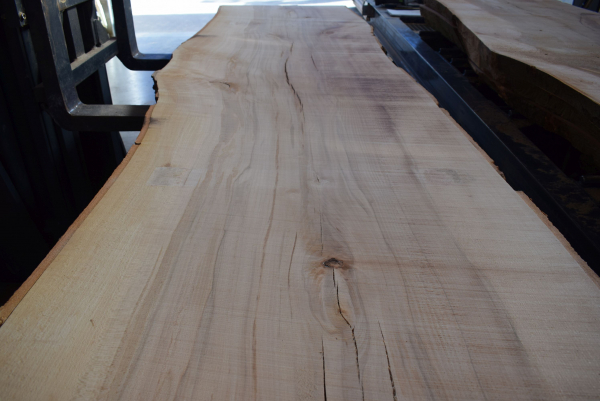 beech plank (BU-11-6)