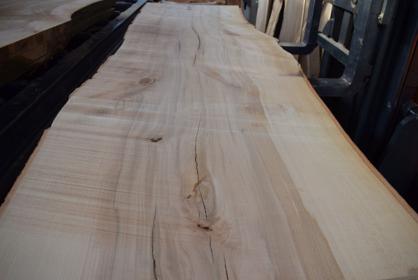 beech plank (BU-11-6)