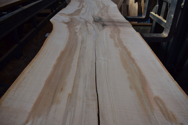 beech plank (BU-11-8)