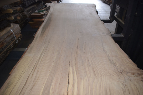 beech plank (BU-12-3)