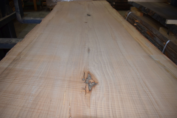 beech plank (BU-13-2)