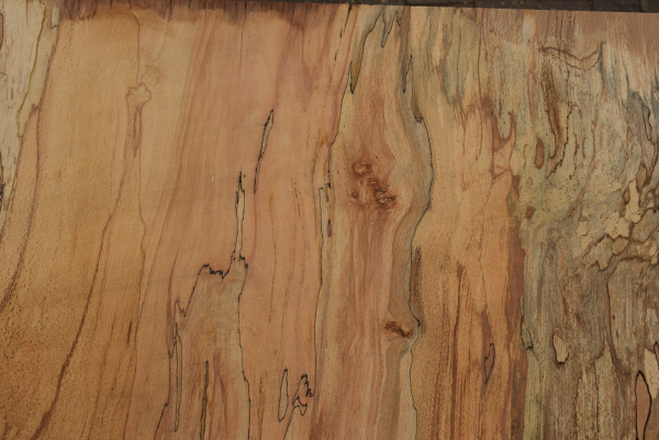 beech plank (BUTR-7-8)