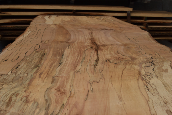 beech plank (BUTR-7-8)