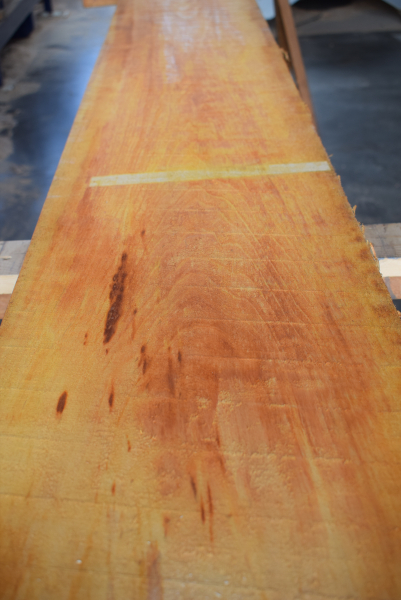 Alder plank ER9-1