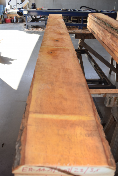 Alder plank ER11-10