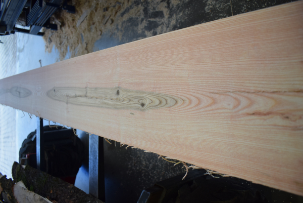 Esche Bohle ES-46_6