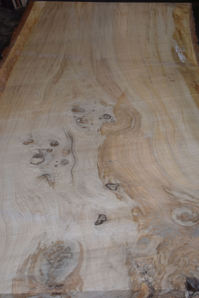 Oak board (E13-3)