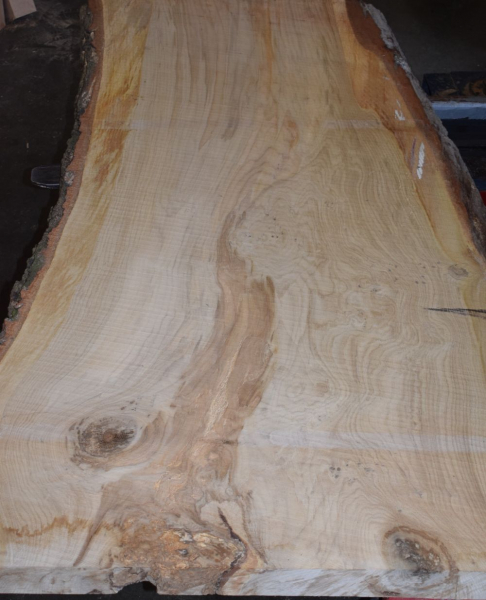 Oak board (E13-3)