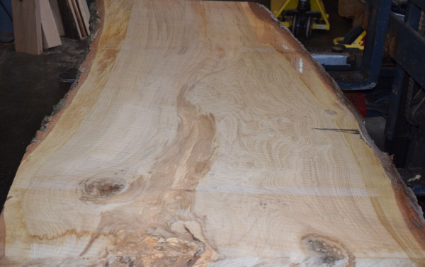 Oak board (E13-3)