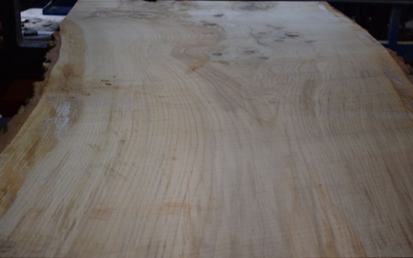 Oak board (E13-3)