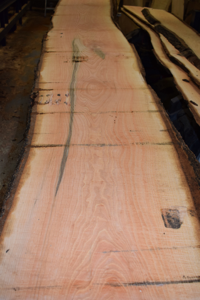 Ash plank ES-32_8