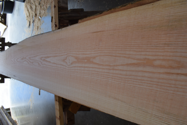 Esche Bohle ES-E-29