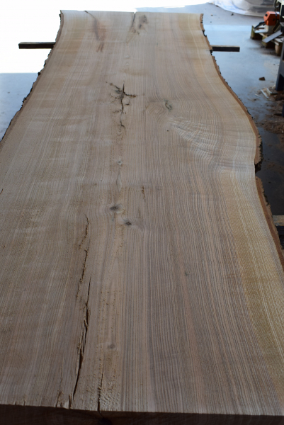 Ash plank ES-38_5