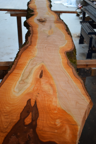 american black Cherry plank (K-BC-1-1)