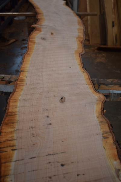 american black Cherry plank (K-BC-1-1)