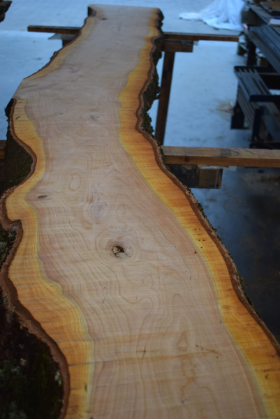 american black Cherry plank (K-BC-1-4)