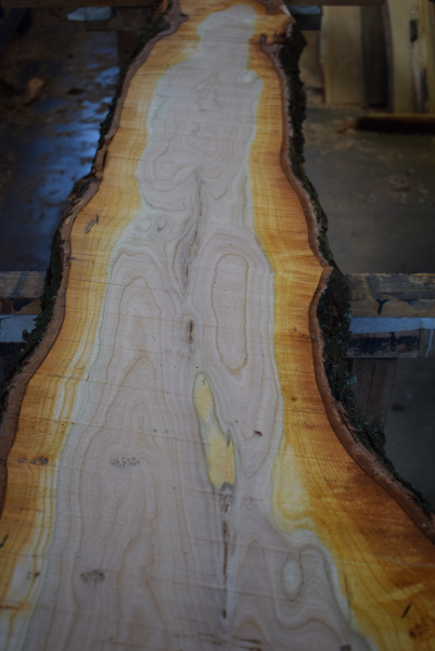 american black Cherry plank (K-BC-1-5)