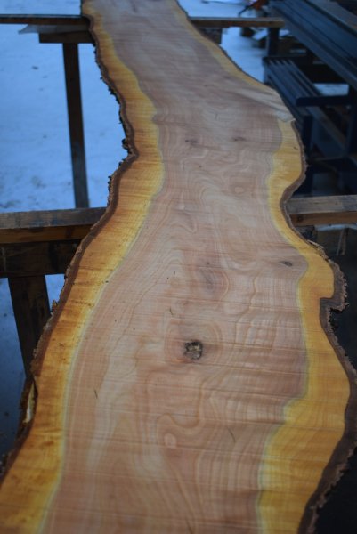 american black Cherry plank (K-BC-1-5)