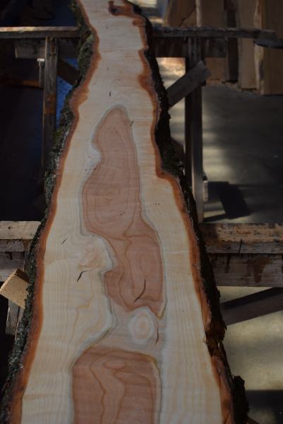 american black Cherry plank (K-BC-2-1)