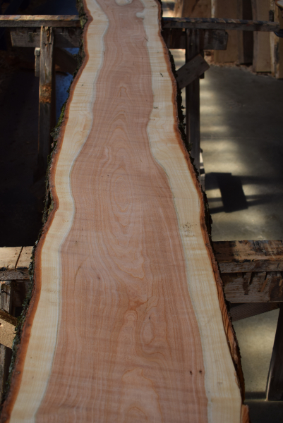 american black Cherry plank (K-BC-2-2)