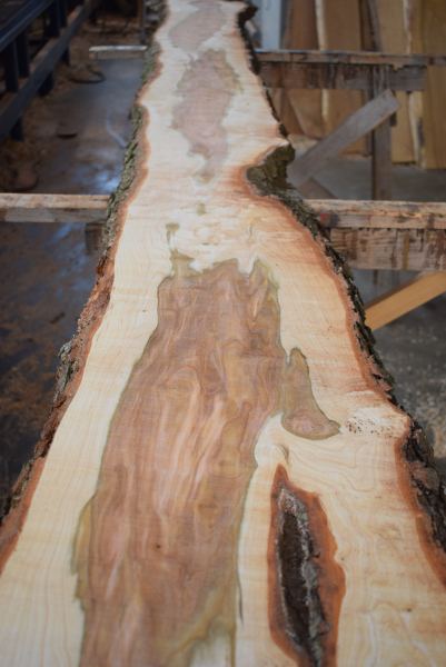 american black Cherry plank (K-BC-3-1)