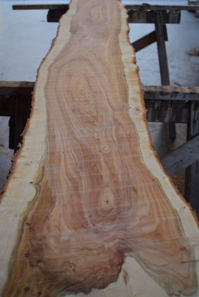 american black Cherry plank (K-BC-3-1)